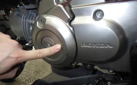HONDA MONKEY 125 JB05