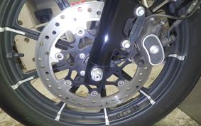 HARLEY XL883N 2019