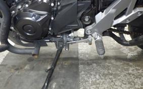 SUZUKI V-STROM 250 2018