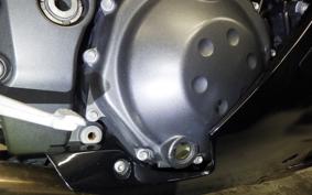 KAWASAKI ZZ1400 NINJA R 2009 ZXT40C