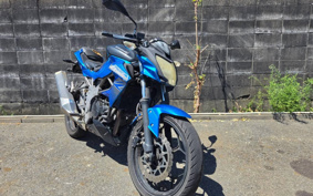 KAWASAKI Z250 SL BR250E