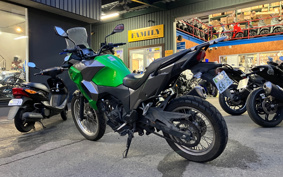 KAWASAKI VERSYS-X 250 ABS LE250D