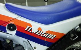 HONDA TLR250R MD18