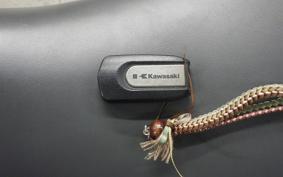 KAWASAKI 1400 GTR 2008 ZGT40A