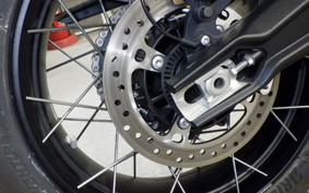 TRIUMPH TIGER 900 RALLY PRO 2023