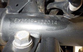 KAWASAKI NINJA 250 EX250P