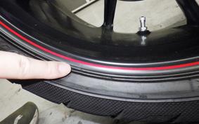 OTHER +ｳﾞｨｸﾄﾘｰﾊﾏｰ SPORTS 2013