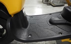 HONDA ZOOMER 2024 AF58