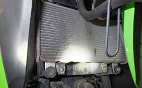 KAWASAKI NINJA 250 EX250L