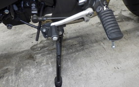 KAWASAKI Z900RS CAFE 2024 ZR900K