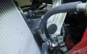 KAWASAKI NINJA 1000SX 2024 ZXT02K