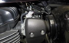 KAWASAKI W800 CAFE 2021