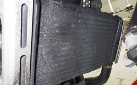 HONDA HORNET 250 MC31