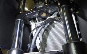 SUZUKI GSX-R125 1999 DL33B