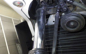 YAMAHA FZ250 1HX