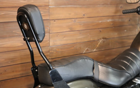 HARLEY HARLEY XL883N 2020 LE2