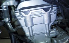 YAMAHA WR250X 2020 DG15J