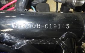 KAWASAKI KH250 2024 KH250B