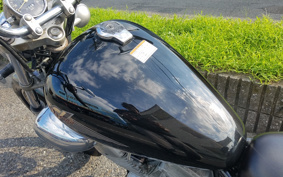 YAMAHA VIRAGO 250 3DM