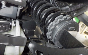 KAWASAKI Z1000 Gen.5 2020 ZXT00W