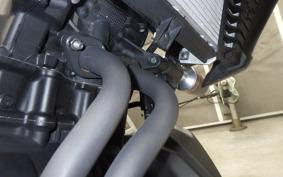 YAMAHA MT-25 A 2007 RG43J
