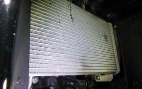 YAMAHA YZF-R25 A 1995 RG43J