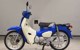 HONDA C110 SUPER CUB 2009 JA59