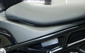 BMW S1000RR 2025