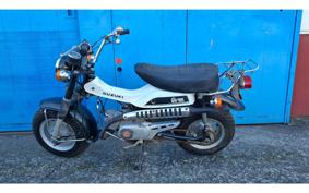SUZUKI RV50 RV50