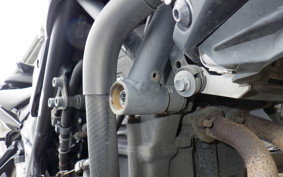 YAMAHA MT-25 RG10J