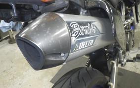 KAWASAKI KLX250D TRACKER 2023 LX250E