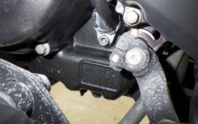 HONDA REBEL 250 S 2008 MC49