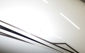 YAMAHA DRAGSTAR 250 2019 VG05J