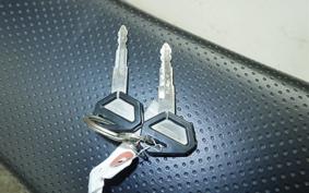 KAWASAKI KLX250D TRACKER X LX250V