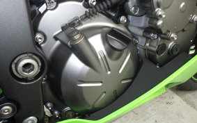 KAWASAKI NINJA ZX-6R A 2020 ZX636G