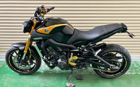 YAMAHA MT-09 2014 RN34J