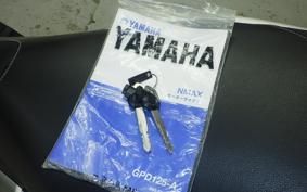 YAMAHA N-MAX 2002 SED6J
