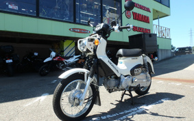HONDA CROSS CUB 50 AA06