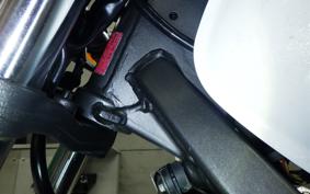 HONDA HORNET 250 MC31