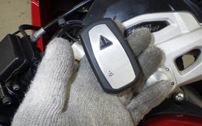 TRIUMPH SPEED TRIPLE RR 2022