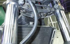 HONDA HORNET 250 MC31