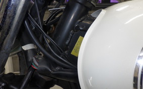 KAWASAKI ESTRELLA RS 1995 BJ250A