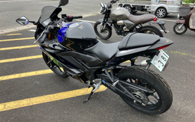 YAMAHA YZF-YZF-R3 ABS 2019 RH13J