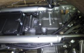 OTHER +HD. FLSTFI1920 2018