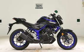 YAMAHA MT-25 2008 RG43J