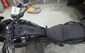 OTHER +HD. ﾊﾟﾝ AMERICA1250S 2022