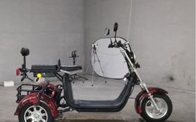 OTHER DENDOU TRIKE  ..
