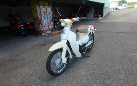 HONDA LITTLE CUB AA01