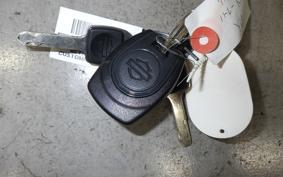 HARLEY RH975 2024
