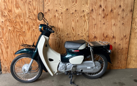 HONDA SUPER CUB50 AA09